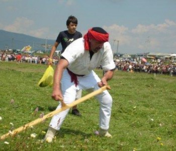 Dani kosidbe na Kupresu 2014. godine: Međunarodni festival folklora i Strljanica 2014.