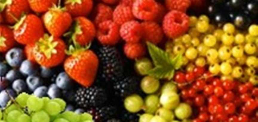 Javni poziv za odabir korisnika za podizanje nasada jagodičastog voća