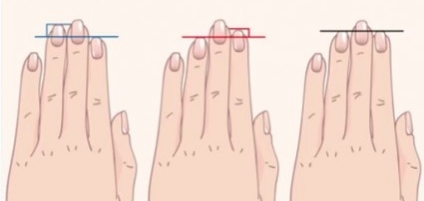 Što duljina prstiju govori o vama?