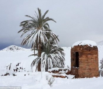 Snijeg stigao i u Saharu