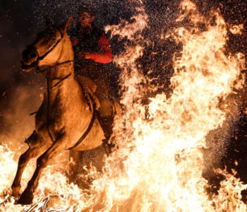 Višestoljetni španjolski festival: Konji skokom kroz vatru ”čišćeni od grijeha”