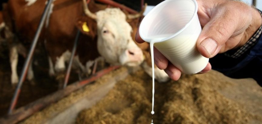 Bh. mljekari na ivici propadanja: Preplavit će nas jeftino mlijeko iz EU