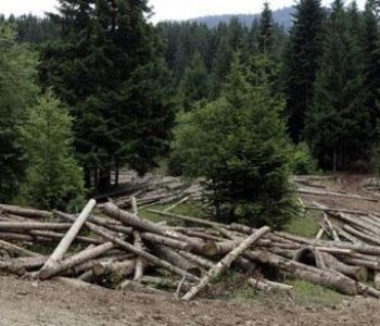 Općina Prozor-Rama aktivno sudjeluje u Javnoj raspravi o Nacrtu zakona o šumama