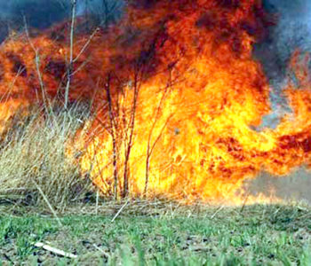 Upozorenje iz DVD-a Prozor – Rama na opasnost od požara zbog paljenja vatre na otvorenom