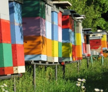 Treći međunarodni pčelarski sajam – Dani hercegovačkog meda