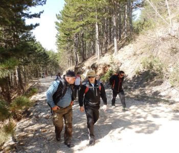 HPD “Rama” sudjelovao u Memorijalnom planinarskom usponu na Prokos na Vran planini.