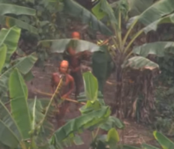DOŠLI NA NJIHOVU ZEMLJU TRAŽEĆI ZLATO Rudari u amazonskoj prašumi izmasakrirali domorotce