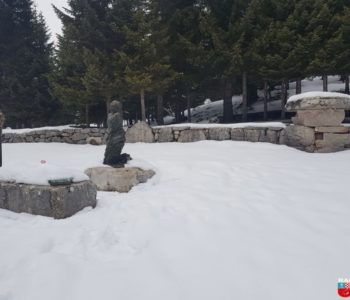 KEDŽARA I RISOVAC