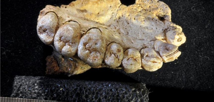U izraelskoj spilji otkrivene najstarije kosti suvremenog čovjeka