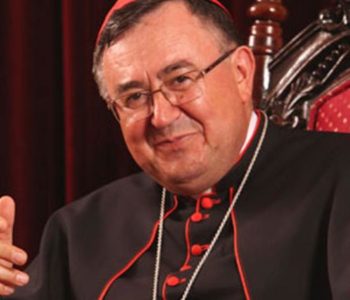 Papa primio u audijenciju kardinala Puljića