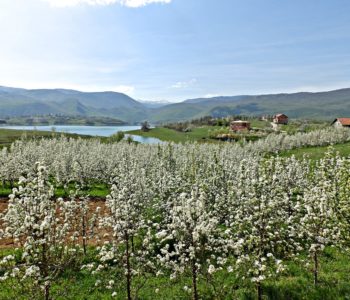 Foto: Rama u beharu