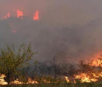 Slovenija: Izgorjela tvornica vrijedna milijune eura