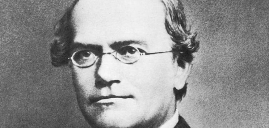 Gregor Mendel – svećenik koji je utemeljio modernu genetiku