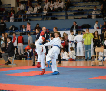 Održan 9. Međunarodni karate turnir Rama open 2018