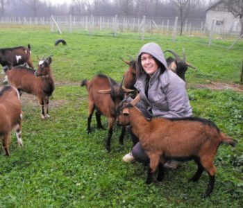 Ne želi napustiti selo –  Mlada Krstina Bojić: Nakon što nije uspjela pronaći posao posvetila se uzgoju alpskih koza