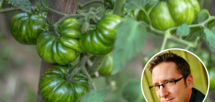 Dražen Karačić isprobao 350, a čuva sjeme 80-ak sorti rajčice