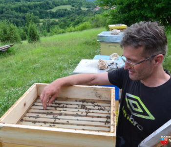 Foto/video: Nema slađeg meda od onog kojeg pčele naprave u Donjoj Vasti?!