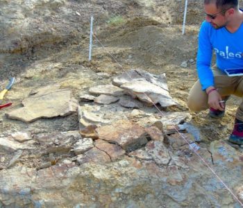 Pronađen fosil kornjače veličine automobila