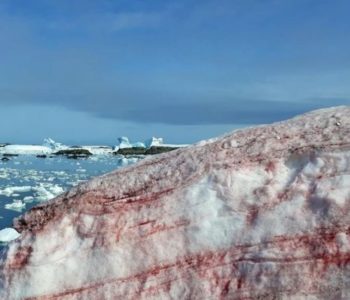 Zapanjujuće fotografije krvavo crvenog leda na Antarktiku