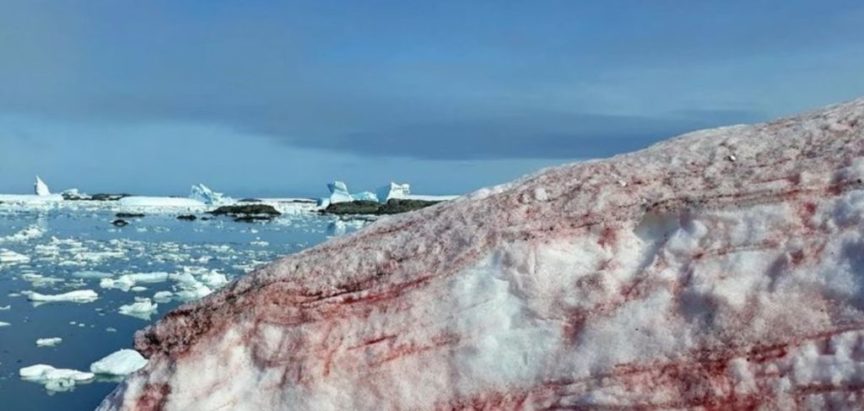Zapanjujuće fotografije krvavo crvenog leda na Antarktiku
