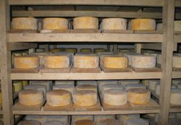 KREĆE BORBA ZA EU TRŽIŠTE: Znate li koliko BiH ima zaštićenih proizvoda