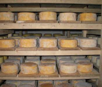Livanjski sir bi mogao biti uskoro zaštićen