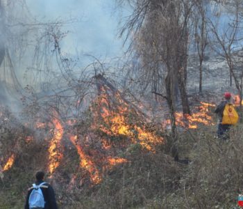 Foto/video: “Elitne postrojbe” Neraja i Ustirame s vatrogascima stavile pod kontrolu požar na Skrabonosu