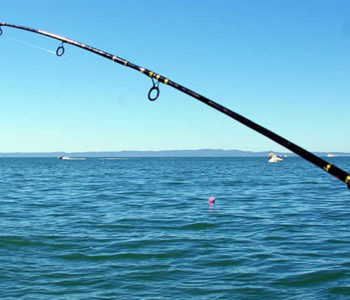 Odgađa se ribolovna sezona u HNŽ-u