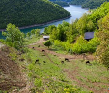 Foto/video: Oaza za očuvanje bosanskog brdskog konja u Lizopercima