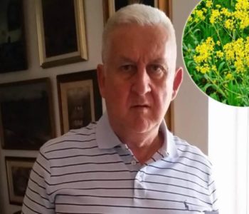 Hercegovački travar Sadiković tvrdi da postoje bolje trave protiv koronavirusa od slatkog pelina: Bojadisarski vrbovnik neda virusu ući u stanice!