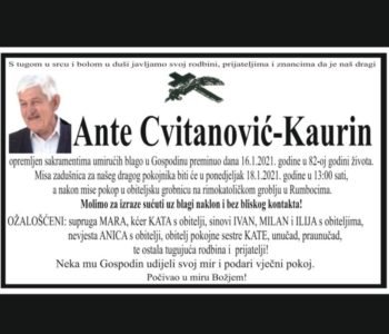 Ante Cvitanović – Kaurin