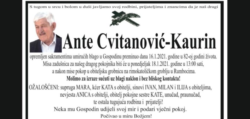 Ante Cvitanović – Kaurin