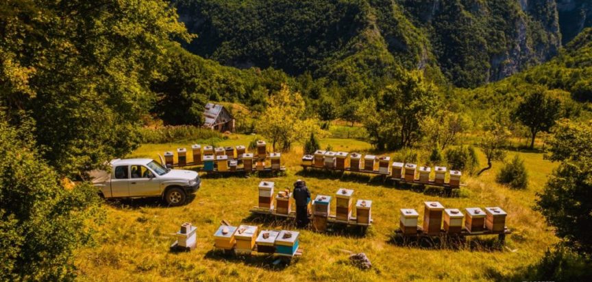 Grad Livno potiče proizvodnju meda kroz projekt “Održivo pčelarstvo” vrijedan 130.000 KM