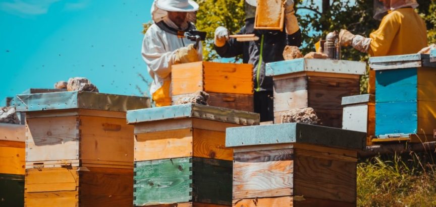Apel svim razinama vlasti u FBiH za pomoć pčelarima
