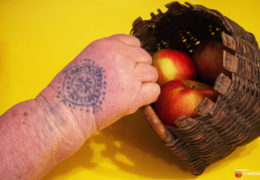 Znanstvenici će razgovarati o čuvanju tradicijskih vrijednosti s posebnim naglaskom na tradicijske tetovaže