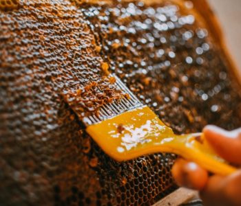 MED KAO LIJEK: Pripravci od meda koje morate isprobati