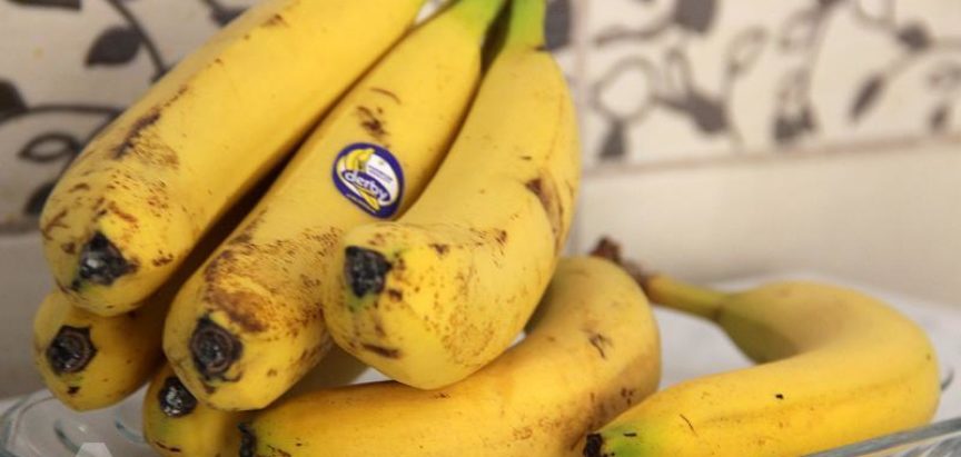 U Pločama pronađeno 18 kg kokaina među kutijama banana