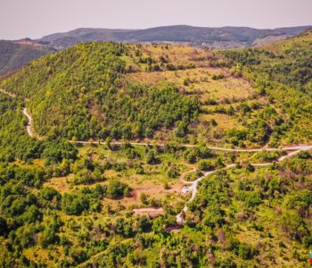 Najava: Susret raseljenih na Pajića (Velića) brdu
