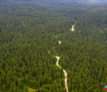 Šumsko bezakonje u HNŽ-u moglo bi uništiti ramske šume?