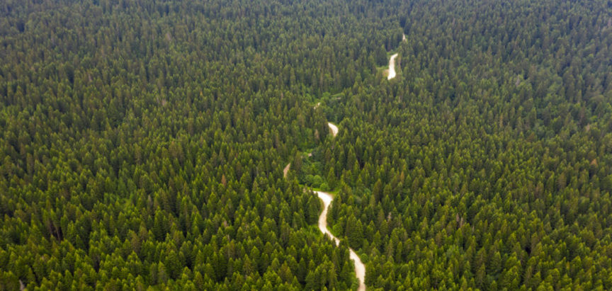 Šumsko bezakonje u HNŽ-u moglo bi uništiti ramske šume