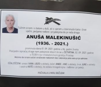 Anuša Malekinušić