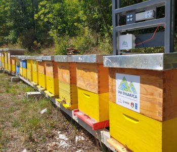 Udruga pčelara “Iva” iz Posušja kroz projekt Via Dinarice dobila 20 pčelarskih SMS vaga