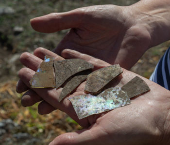 U BIH zaplijenjeni arheološki artefakti, akcija provedena u 14 europskih zemalja