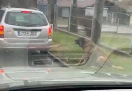 VIDEO: Tuzlak zavezao psa za automobil i vukao ga po cesti