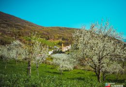 KAKVO NAS PROLJEĆE ČEKA: Koji će mjesec biti najtopliji, koji najkišovitiji, kad se očekuje mraz…