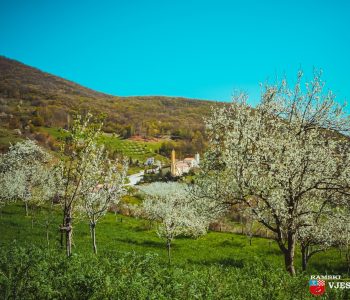 KAKVO NAS PROLJEĆE ČEKA: Koji će mjesec biti najtopliji, koji najkišovitiji, kad se očekuje mraz…
