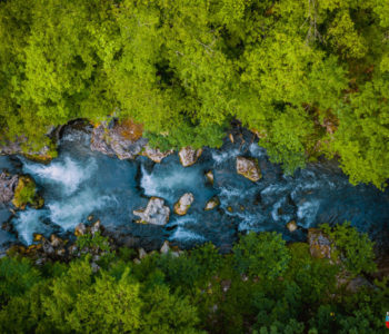 DOM NARODA: Dan D za bosanskohercegovačke rijeke