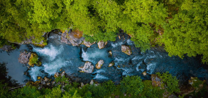 DOM NARODA: Dan D za bosanskohercegovačke rijeke