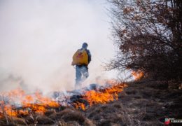 U Hercegovini 18 požara u protekla 24 sata