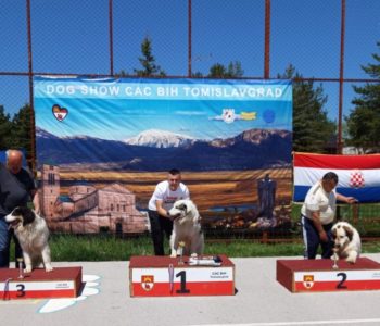 Ramski tornjaci na specijalnoj izložbi pasa u Tomislavgradu